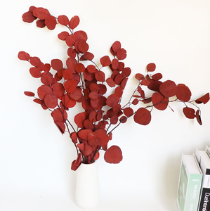 Stile nordico foglia rotonda eucalipto conservazione eterna Bouquet di fiori decorazione piante verdi foglie di mela fiore essiccato - Product Image 1