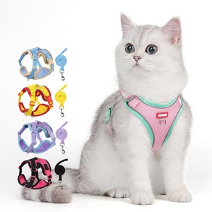 Set de Arnés y Correa de Malla Transpirable y Colorido para Perros y Gatos con Logo Personalizado para Perros Pequeños y Medianos - Product Image 1
