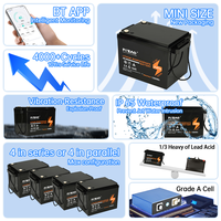 Batterie LiFePO4 à décharge profonde 12,8 V 100 Ah, remplacement de batterie au plomb-acide, avec BMS intégré, étanche IP67, 4000 cycles pour camping-car
