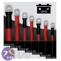 2/4/10 AWG Jauge Rouge Noir Pur Cuivre Batterie Onduleur Câbles Silicone Isolé Fils Électriques pour Solaire RV Auto Marine Car