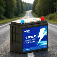 Baterai Mobil Lithium LiFePO4 Kustom 12V 24V untuk Starter Mobil