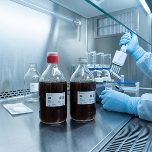Servicio <span class=keywords><strong>de</strong></span> Personalización <span class=keywords><strong>de</strong></span> <span class=keywords><strong>Agar</strong></span> Saburraudo con Dextrosa (SDA) |   Medio <span class=keywords><strong>de</strong></span> <span class=keywords><strong>Cultivo</strong></span> para Hongos y Levaduras, Uso en Microbiología <span class=keywords><strong>de</strong></span> Laboratorio - Product Image 1