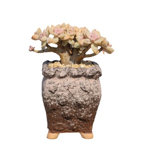 Maceta de flores de pila antigua suculenta al por mayor Maceta de cerámica en bruto mate vintage en relieve Maceta de muesca de acantilado creativa - Product Image 1