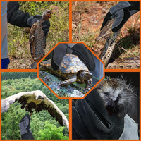 Gants de soudage en cuir personnalisés pour la manipulation des animaux, saisir le toilettage des reptiles, gants de protection pour barbecue, gants de travail anti-piqûre