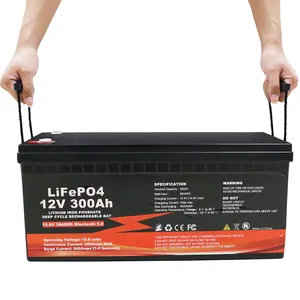 Lifepo4 12V 50ah 100ah 200ah 300ah 400ah Batterij Lithium-Ion Batterijen Energie-Opslag Batterij