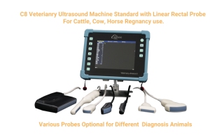 Machine à ultrasons équine certifiée CE Prix Échographie diagnostique vétérinaire <span class=keywords><strong>Scanner</strong></span> de grossesse de cheval - Product Image 5