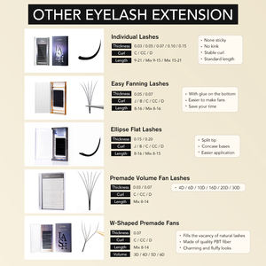 Gollee Extensiones de Pestañas de Seda Esponjosas Abanicos Fáciles 3D 4D 5D 6D Cashmere Negro Individual Volumen con Curvatura BC - Product Image 5