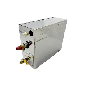 Snelle-Reactie Veilig 4KW Sauna Steam Generator Voor Smart Home Douche