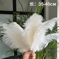 Plume d'autruche en gros 35-40cm plume ordinaire bricolage Arrangement de fleurs de mariage décoration accessoires de Performance plume blanche