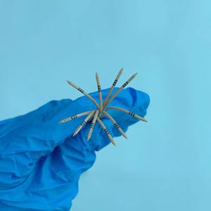 ड्रिलिंग प्रिंटिंग टिप डिस्पोजेबल पेक एवन सुई के साथ अनुकूलित चिकित्सा पीक ट्यूबिंग - Product Image 6