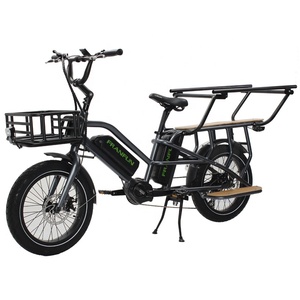 FRANFUN Top ventas <span class=keywords><strong>Advanced</strong></span> Dos ruedas M420 Mid Drive ebike asiento largo bicicleta eléctrica - Product Image 4