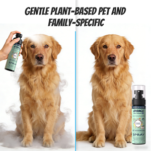 Désodorisant enzymatique professionnel puissant, élimine les odeurs d'urine d'animaux à la source, formule domestique sûre et non toxique, spray désodorisant enzymatique de qualité professionnelle - Product Image 5