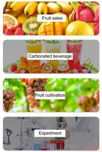Numérique 0-35% Brix mètre réfractomètre <span class=keywords><strong>douceur</strong></span> instrument de mesure sucre Concentration mètre pour fruits - Product Image 6