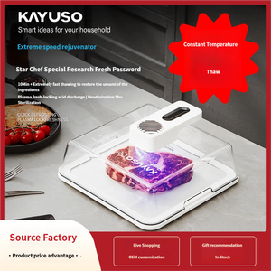 Outil de décongélation des aliments congelés, <span class=keywords><strong>appareil</strong></span> de décongélation de comptoir, gadgets de cuisine, plateau de décongélation - Product Image 6