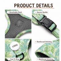 Ensemble de harnais pour chien anti-traction personnalisé, collier rembourré doux, laisse et harnais de qualité supérieure pour chien, distributeur de sacs à déjections canines, accessoires pour animaux de compagnie