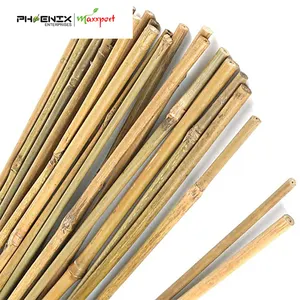 Natural Bamboo Stake Garden stake Plant support Natural Eco-Friendly agribultural and garden bamboo supporter