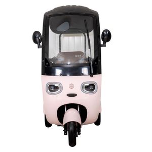FGQ 2026 Tricycle Électrique à Carrosserie Ouverte avec Visage de Panda Mignon, 800W, 25km/h, Capacité 200kg, pour <span class=keywords><strong>Transport</strong></span> Familial et Adultes - Product Image 4