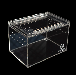 Floresan manyetik akrilik atlama örümcek kertenkele küp Treehouse - Product Image 1