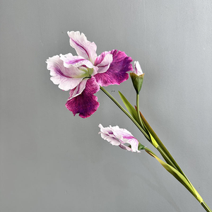 <span class=keywords><strong>Flor</strong></span> Artificial Iris <span class=keywords><strong>de</strong></span> 81 cm <span class=keywords><strong>de</strong></span> <span class=keywords><strong>Casablanca</strong></span>, Tacto Real, Decoración para Año Nuevo y Pascua, Regalo con Tallo Duradero, Venta al por Mayor para Compradores Comerciales - Product Image 5