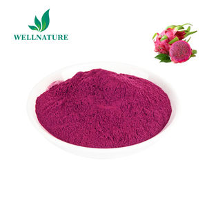 उच्च गुणवत्ता <span class=keywords><strong>Pitaya</strong></span> फल पाउडर थोक <span class=keywords><strong>Pitaya</strong></span> निकालने फ्रीज सूखे गुलाबी <span class=keywords><strong>Pitaya</strong></span> पाउडर - Product Image 3