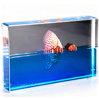 Marco de Fotos Líquido Acrílico Creativo para Decoración del Hogar, Marco Digital Magnético con Pez Payaso Flotante, Marco de Fotos con Agua y Aceite