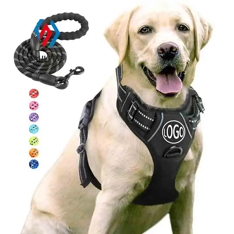 Pettorina per cani confortevole durevole con LOGO personalizzato con guinzaglio riflettente per cani di taglia medio-piccola