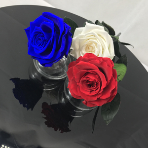 <span class=keywords><strong>Rosas</strong></span> <span class=keywords><strong>estabilizadas</strong></span> reales, flores preservadas al por mayor, hermosas <span class=keywords><strong>rosas</strong></span> preservadas con tallo eterno de <span class=keywords><strong>rosas</strong></span> - Product Image 4