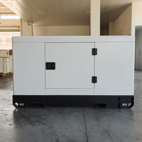 Generador Diésel Silencioso de 20 kVA, 24 kW, 25 kVA, Generador Eléctrico de 20 kW, 220 Voltios, 480 V, Precio