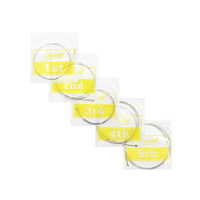 IRIN B102 Five-String Electric Bass Strings Steel Core Nickel Alloy in Stock Stringed Instruments Parts & Accessories