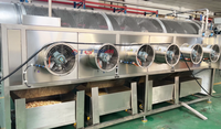 Machine à Popcorn Industrielle Entièrement Automatique pour Champignons, Différentes Saveurs Colorées, Ligne de Production de Popcorn
