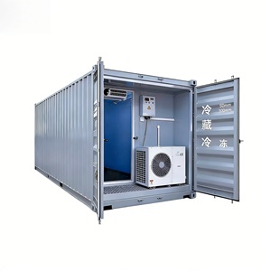 Cella Frigorifera Commerciale a Prezzo di Fabbrica, Congelatore Rapido, Container Refrigerato 20Ft, Unità di Refrigerazione - Product Image 6