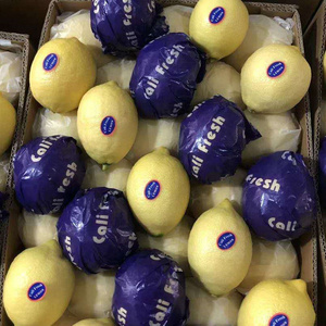 Tươi màu xanh lá cây và màu vàng chanh phát triển tự nhiên, chất lượng cao bán buôn Trung Quốc chanh trái cây - Product Image 4