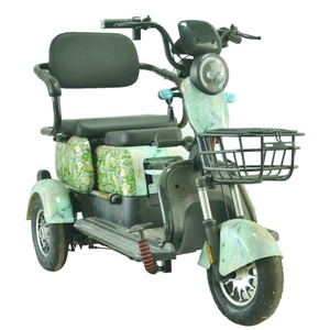 Triciclo Eléctrico <span class=keywords><strong>con</strong></span> Pantalla Digital, 500W, Neumático Antipinchazos 300-8, Freno de Tambor Delantero y Trasero, Controlador 12T, <span class=keywords><strong>Silla</strong></span> para Bebé - Product Image 5