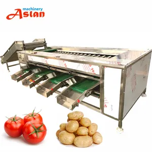 Selezionatrice automatica di dimensioni Litchi Olive selezionatrice di patate classificatore macchina selezionatrice di patate dolci ciliegia