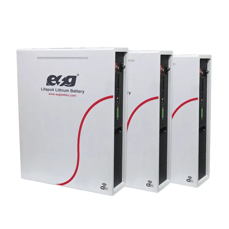 ESG 48V 200AH Prismatic Replacement Lion Batteries Lion Lifepo4 Lithium Ion Solar Cell Battery