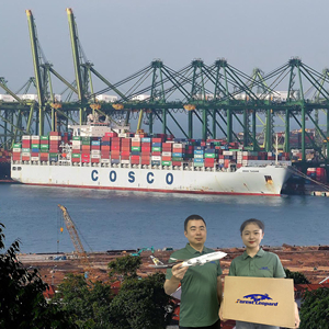 Tarifas de envío de logística más baratas FBA Courier Service <span class=keywords><strong>to</strong></span> Door EE. UU./Europa/Reino Unido <span class=keywords><strong>Sea</strong></span>/Express Cargo Agent China <span class=keywords><strong>Freight</strong></span> Forward - Product Image 6
