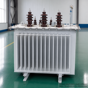 Transformador de Distribución de Energía Trifásico Sumergido en Aceite OEM ODM Directo de Fábrica para Uso Industrial - Product Image 3