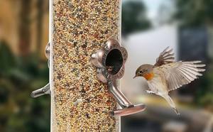Mangeoire à oiseaux durable en forme de cube, résistante aux intempéries, suspendue à l'extérieur avec 4 ports d'alimentation en plastique et en fer - Product Image 6