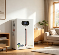 Batterie LiFePO4 hybride murale 51,2 V 100 Ah 5,12 kWh avec CAN pour stockage d'énergie solaire domestique