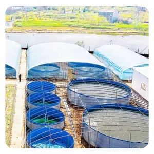 Estanque de PVC galvanizado para acuicultura y almacenamiento de agua en huertos, cría de Koi, langostas y tilapias - Product Image 5