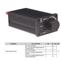 Module sans fil 5.3, système de mixage DSP BRU5 stéréo haute puissance 2.0, amplificateur de puissance sans fil TPA3244 2x100W