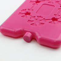 Plastique HDPE de qualité alimentaire personnalisé, réutilisable, expédition, stockage, brique de glace