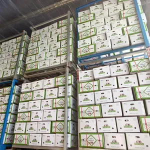 Alho壁画10千克盒1kgx10/纸箱包装新鲜中国新作物大蒜价格