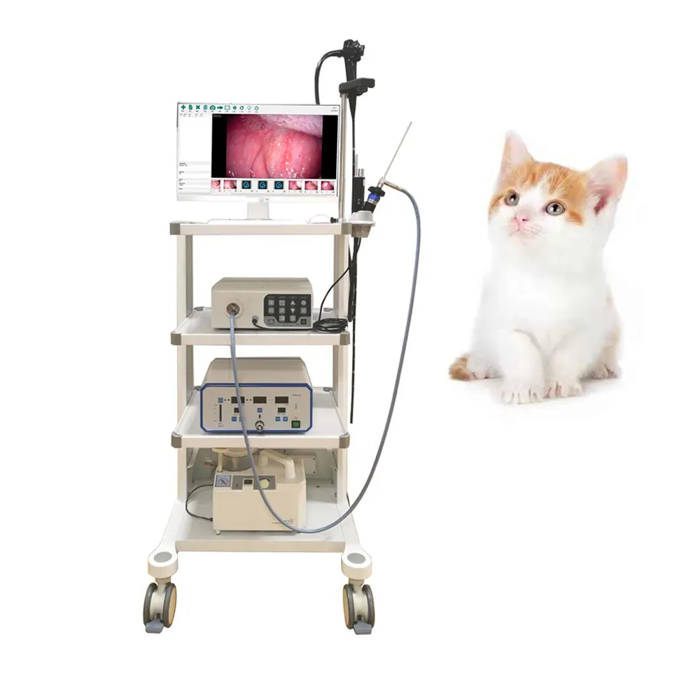 핫 세일 의료 장비 위 내시경 대장 내시경 카메라 복강경 개 고양이 말 동물 내시경 이미징
