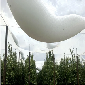 Filet anti-grêle robuste <span class=keywords><strong>pour</strong></span> jardin, protection des plantes/légumes/melons/fruits, clôture blanche anti-oiseaux <span class=keywords><strong>pour</strong></span> élevage de volailles - Product Image 1