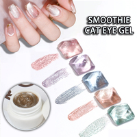 Gel pour ongles HS Private Label 9 couleurs effet œil de chat, 5g, longue tenue, haute pigmentation, durcissement UV LED pour salon de manucure