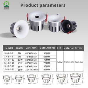 <span class=keywords><strong>Spot</strong></span> à angle réglable de haute qualité à trou ouvert 3ctt 200v-240vac 7w 9w 12w 15w 18w 20w Downlight sans pilote - Product Image 2
