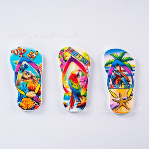 Imanes para Refrigerador con Diseño de Animales de Playa, 3 Piezas, Recuerdo Decorativo, Resinas Sintéticas - Product Image 1