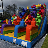 Château gonflable à blocs avec toboggan sec, aire de jeux gonflable pour enfants, structures gonflables pour fêtes