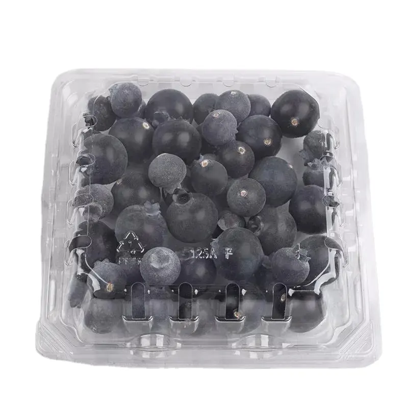 high quality Disposable plastic transparent thickened blue berry packaging box PET Fruit tray